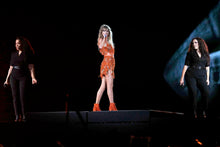 Load image into Gallery viewer, FD196 “TAYLOR IN ORANGE”,  6” round on 18 mesh
